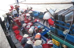 Hỗ trợ tín dụng để giúp ngư dân bám biển